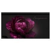 Ежедневник недатированный ПИОН (171х93 мм, 64 листа, твёрдый переплёт) купить