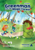 Greenman and the Magic Forest Second edition Flashcards Level A купить