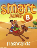 Smart Junior 4 Flashcards купить