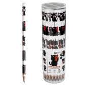 Набор карандашей чернографитных ЧЕРНЫЙ КОТ (ПЭТ-тубус, 36 шт., ассорти, твердость грифеля: HB, форма корпуса - трёхгранная) купить