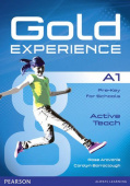 Gold Experience A1 Active Teach купить
