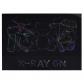 Папка для школьных тетрадей пластиковая РЕНТГЕН (полипропилен, формат А4, 31,5х22,5 см, 1 отделение, клапан, глянцевая ламинация) купить