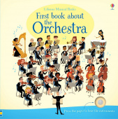 First Book About the Orchestra (noisy board book) купить
