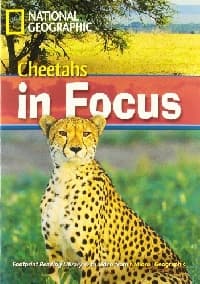 Fotoprint Reading Library B2 Cheetah Chase! купить