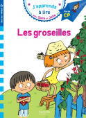 J'apprends a lire avec Sami et Julie - Niveau 3 (6-9 ans) - Les Groseilles купить