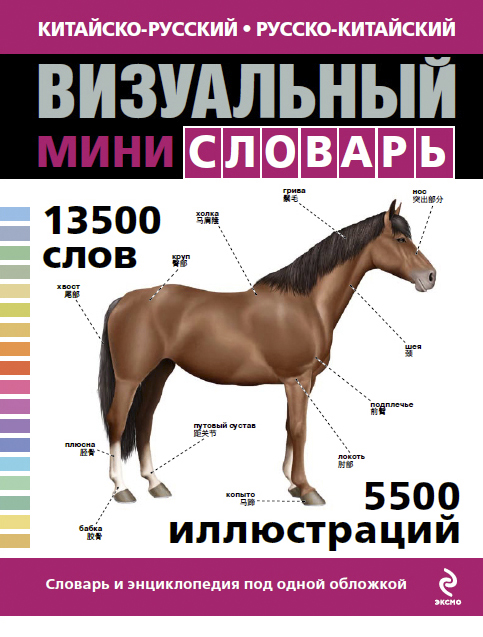Китайско-русский русско-китайский визуальный мини-словарь купить