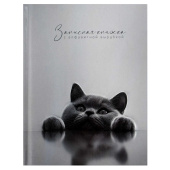 Записная книжка БРИТАНСКИЙ КОТ (120x150 мм, 80 л, твёрдый переплёт, глянцевая ламинация) купить