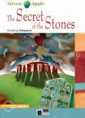 Green Apple Secret Of The Stones  Digital Readers Pack купить