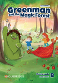 Greenman and the Magic Forest Second edition Flashcards Level B купить