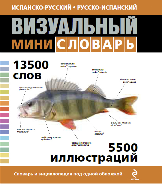 Испанско-русский русско-испанский визуальный мини-словарь купить