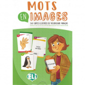 Words in Pictures A1 Mots en Images. Cartes illustrées en français + version numérique купить
