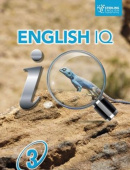 English IQ 3 Teacher's Book купить