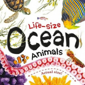 Life-size: Ocean Animals купить