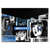 Папка для школьных тетрадей пластиковая ГЕРОИ АНИМЕ (полипропилен, формат А4, 33x23.5 см, 1 отделение, кнопка) купить