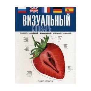 Визуальный словарь купить