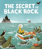The Secret of Black Rock купить