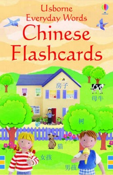 Everyday Words Chinese Flashcards купить