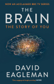 The Brain The Story of You купить