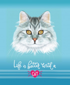 Тетрадь для записей Клетка (Арт.48.56) 48 листов Cat купить