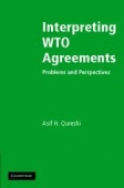 Interpreting WTO Agreements: Problems and Perspectives купить
