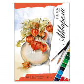 Папка для акварели БУКЕТ ФИЗАЛИСА, формат А4, 10 листов,  папка с клапанами купить