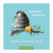 Альбом для рисования СЕРЫЙ КОТ, размер 170х170 мм, 40 листов купить
