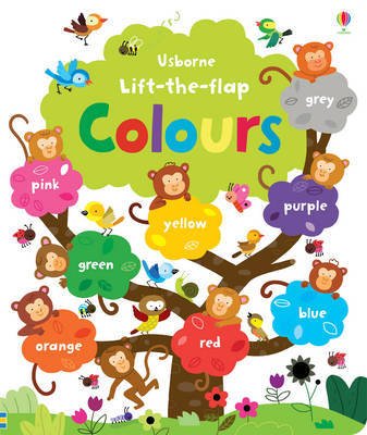 Lift the Flap Colours Book купить