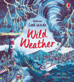 Usborne Look Inside Wild Weather купить