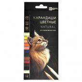 Набор цветных карандашей деревянных НАТУРЕЛЬ (12 цв., картонная коробка с европодвесом, выборочным лаком и золотистым тиснением) купить