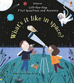 Usborne Lift-the-flap First Questions and Answers What's it like in Space? купить