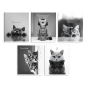 Комплект тетрадей школьных ученических (5 штук), А5+, 48 л, вн.блок - клетка, (МОНОХРОМНЫЕ КОТЫ) купить