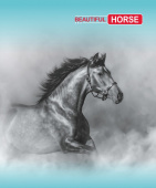 Тетрадь для записей Клетка (Арт.48.50) 48 листов Black horse купить