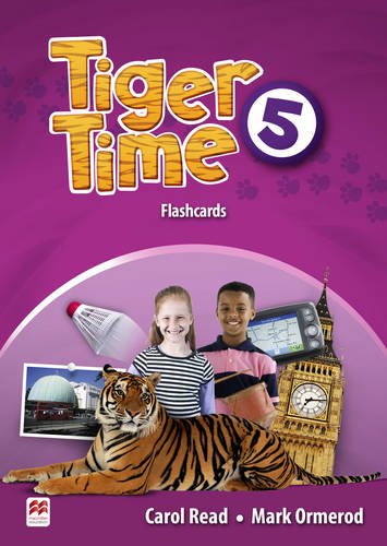 Tiger Time 5 Flashcards купить