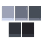 Комплект тетрадей школьных ученических (5 штук), А5+, 48 л, вн.блок - клетка, (ОТТЕНКИ СЕРОГО) купить