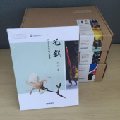 Hairy Monkey Handwork Kit купить