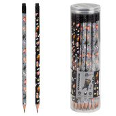 Набор карандашей чернографитных КОТЫ РАЗНЫХ СТРАН (ПЭТ-тубус, 36 шт., ассорти, твердость грифеля: HB, форма корпуса - трёхгранная) купить