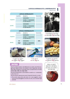 Grammatica italiana più +codice i-d-e-e купить