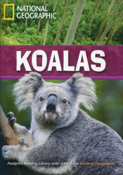 Fotoprint Reading Library C1 Koalas купить
