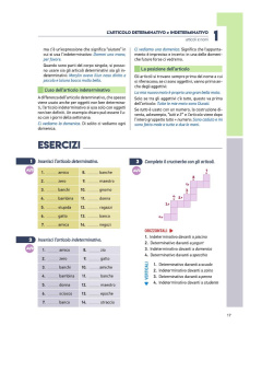 Grammatica italiana più +codice i-d-e-e купить