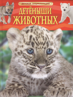 Детеныши животных. Детская энциклопедия купить