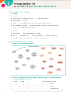 Grammatik aktiv B1+ Übungsgrammatik купить