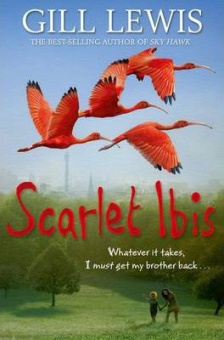 Scarlet Ibis купить