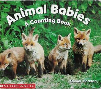 Animal Babies: Counting Book купить