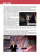 Italiani: personaggi che il mondo ci invidia: Cinema B1-B2 купить Italiani: personaggi che il mondo ci invidia: Cinema B1-B2 купить