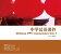 Chinese PPT courseware Vol.1 купить