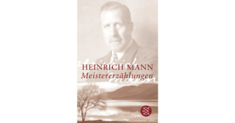 Meistererzaehlungen von Mann Heinrich купить