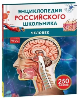Человек. Энциклопедия российского школьника купить