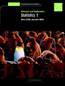 Statistics 1 International купить